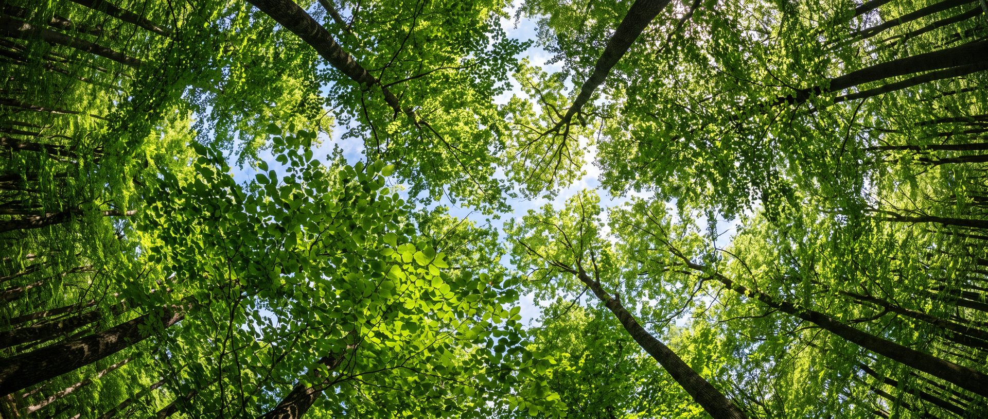 Greenleaf — природная красота
